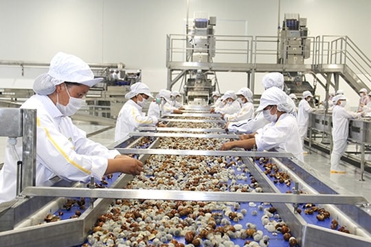 Chế biến sâu - nâng tầm nông sản Việt: Lối ra khỏi “cái bẫy xuất thô”