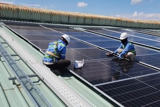 Để đạt Net Zero 2050, Việt Nam cần đầu tư thêm 8–10 tỷ USD/năm cho NLTT