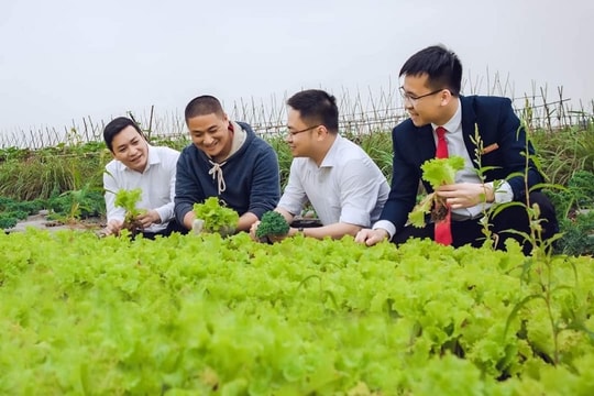 Ý chí khởi nghiệp của thanh niên Hưng Yên và sự hỗ trợ đồng bộ