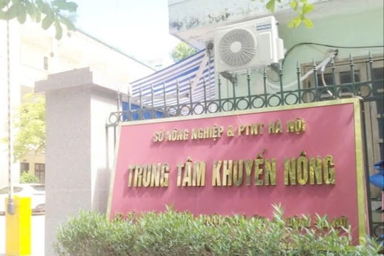 Dấu hỏi lớn sau “lệnh” cấm thầu tại Khuyến nông Hà Nội - Bài 2: Bất ngờ ... "căn cứ suy diễn”