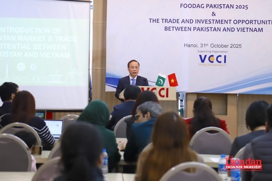Thúc đẩy hợp tác, đầu tư doanh nghiệp Việt Nam – Pakistan