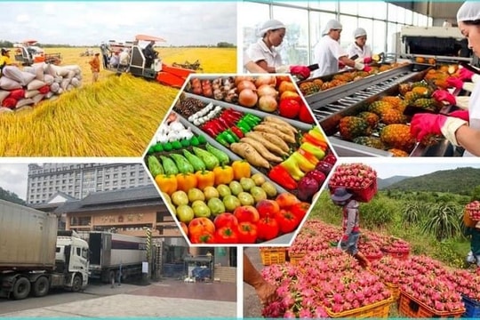 Để thuế không trở thành “điểm nghẽn” của chuỗi cung ứng nông sản