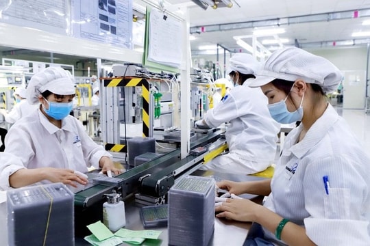 Đảm bảo thống nhất pháp luật về chất lượng sản phẩm và nhãn hàng hóa