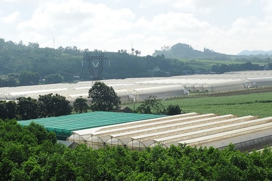 Khoảng lặng 5 năm và “nổi sợ” nhân lực khoa học công nghệ Thanh Hóa