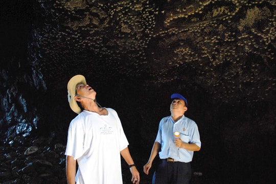 35 năm xây dựng và phát triển: Yến sào Khánh Hòa lấy khoa học làm nền tảng cho phát triển vươn tầm