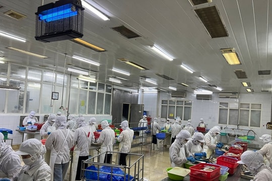 Quảng Ninh tạo "cú hích" xuất nhập khẩu, tăng trưởng hai chữ số