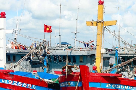 Ninh Bình đẩy mạnh kiểm soát tàu cá, đảm bảo truy xuất nguồn gốc