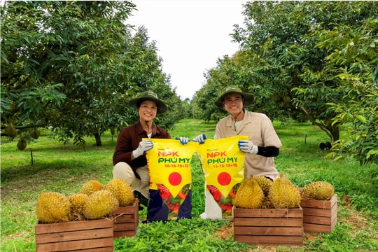 NPK Phú Mỹ chạm mốc 1 triệu tấn