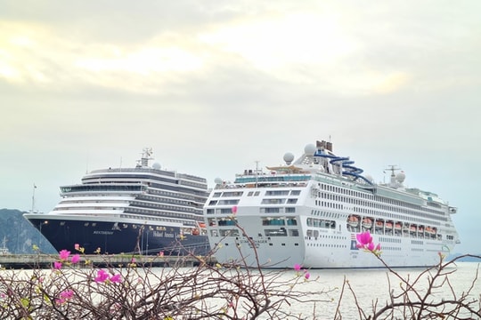 Quảng Ninh: Nâng tầm vị thế trên bản đồ du lịch biển cao cấp quốc tế