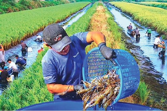 Hướng tới nền kinh tế thích ứng