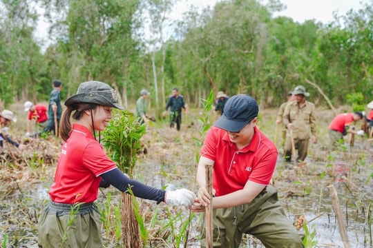 Tăng trưởng bền vững từ kinh tế tuần hoàn: Yêu cầu của thời đại mới