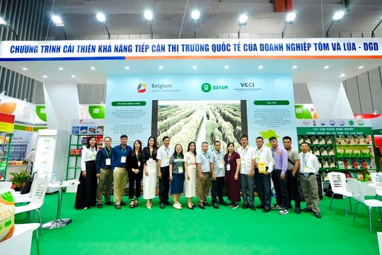 VCCI-HCM hỗ trợ doanh nghiệp tiếp cận thị trường quốc tế
