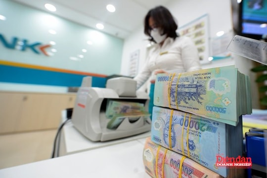 Sửa Luật Bảo hiểm tiền gửi: Cân nhắc cơ chế thu phí bảo hiểm tiền gửi theo rủi ro