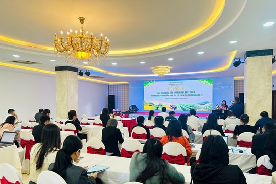 Cà phê Gia Lai hiện có mặt ở hơn 60 quốc gia