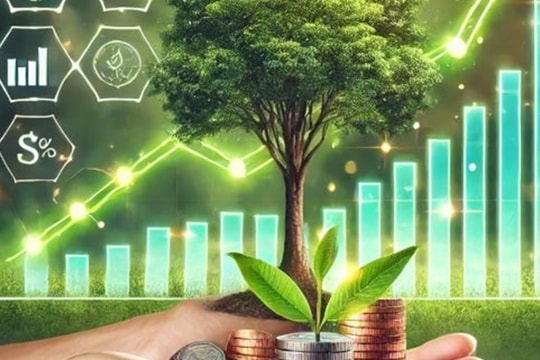 Cơ hội của doanh nghiệp từ lựa chọn thúc đẩy tài chính khí hậu