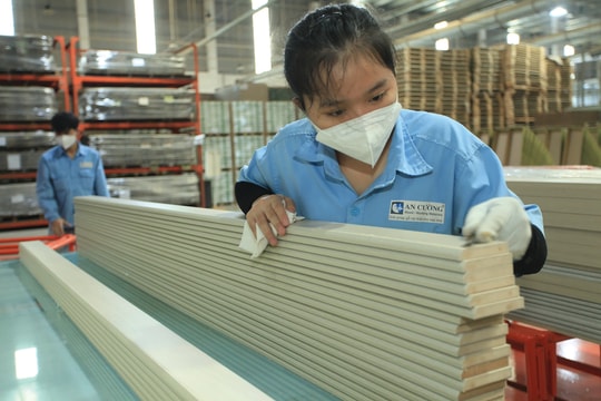 ACG tạo sức bật từ nội địa