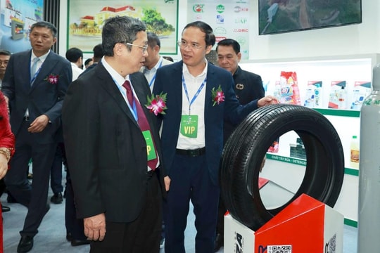 RUBBER TECH VIETNAM 2025: Cơ hội mở rộng thị trường cho doanh nghiệp cao su Việt Nam