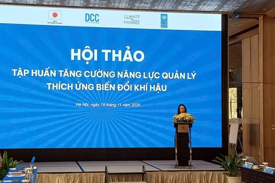 Tăng cường năng lực quản lý thích ứng với biến đổi khí hậu cho các Bộ, ngành