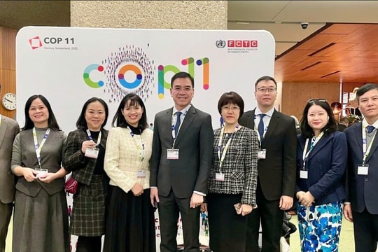 COP11: Thúc đẩy hợp tác quốc tế kiểm soát thuốc lá và bảo vệ sức khỏe cộng đồng
