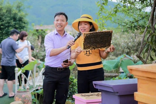 Khát vọng làm giàu từ nuôi ong
