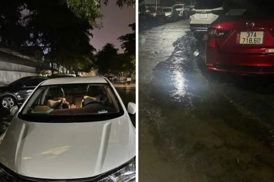 Nhiều ô tô dùng chung một biển số, chuyện lạ có thật!