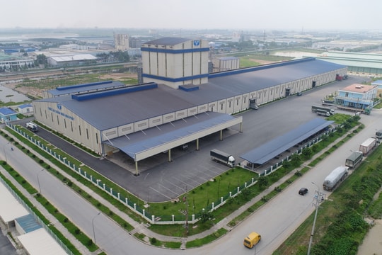 Nông nghiệp Hòa Phát chào bán 30 triệu cổ phiếu lần đầu ra công chúng