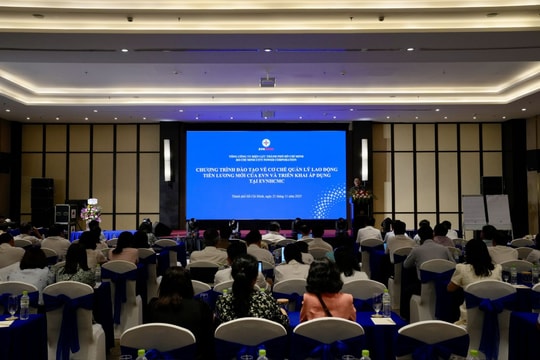 EVNHCMC tăng cường năng lực quản lý tài chính và nhân sự