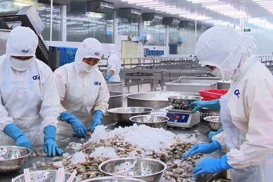 “Dò sóng” cổ phiếu thủy sản, dệt may