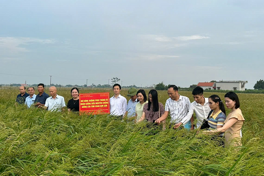 Khoa học công nghệ "Chìa khóa vàng" nâng cao sức cạnh tranh nông sản Ninh Bình