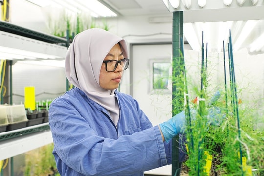 Các nhà khoa học hàng đầu thế giới hiến kế nuôi sống 10 tỷ người tại Tuần lễ Khoa học Công nghệ VinFuture 2025