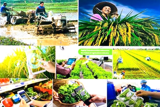 Sửa đổi Luật Thuế GTGT: Gỡ vướng hoàn thuế, khơi thông vốn cho nông nghiệp