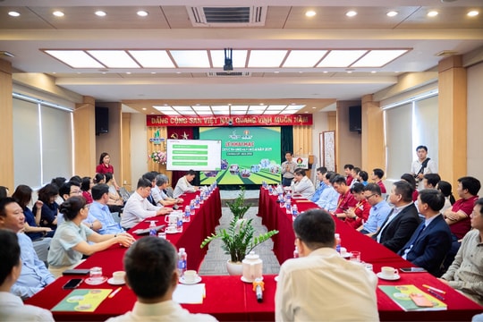 Lên Tổng Công ty, Phân bón Cà Mau sẽ ưu tiên điều gì?