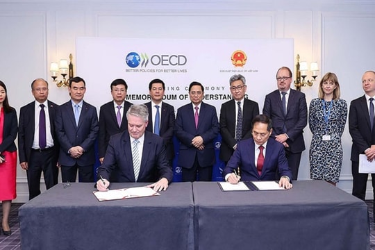 Nghiên cứu lý luận về vai trò lãnh đạo của OECD trong phát triển năng lực lãnh đạo khu vực công