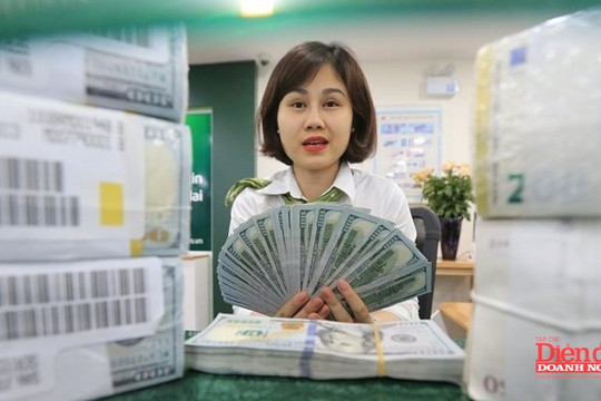 Tỷ giá USD/VND vững vàng trong 6 tháng đầu năm 2026