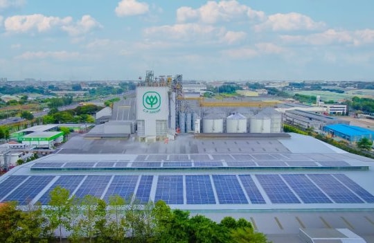 C.P. Việt Nam đạt cột mốc 1,5 triệu cây xanh trong chiến lược ESG dài hạn