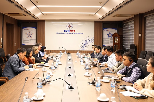 Tổng công ty Truyền tải điện Quốc gia làm việc với Tổ chức Tài chính Quốc tế