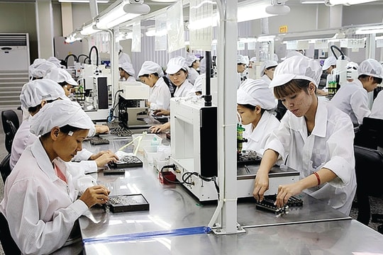 Quản trị rủi ro và chuyển đổi bền vững