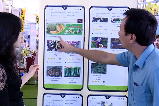 Thương mại điện tử “chìa khóa” mở rộng thị trường cho doanh nghiệp Ninh Bình