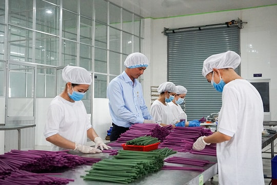 Thêm công cụ hỗ trợ doanh nghiệp tăng trưởng xanh