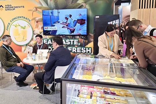 AIG khẳng định vị thế nguyên liệu Việt tại Fi Europe 2025