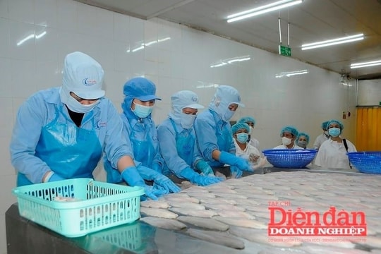 Nguy cơ “tắc” xuất khẩu thủy sản sang Mỹ