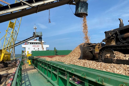 Kinh tế Quảng Trị - gỡ “vướng” để tăng tốc về đích