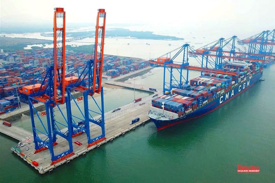 Cần điều chỉnh giá bốc dỡ tại cảng biển để tăng khả năng cạnh tranh quốc gia