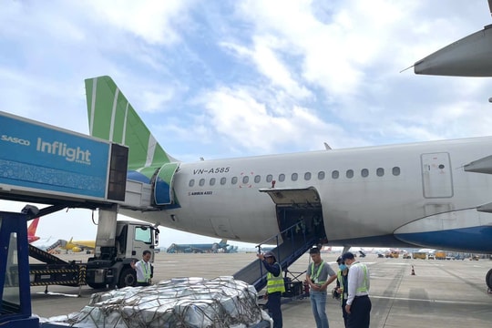 Cựu Chủ tịch Bamboo Airways: "Tôi và ông Dương Công Minh sẽ trả các khoản nợ phát sinh"