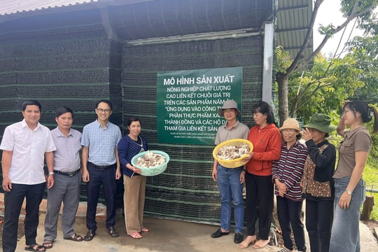 Khởi nghiệp Quốc gia 2025: Dự án trồng nấm ăn - nấm dược liệu dưới mái pin năng lượng mặt trời lọt Top 20 dự án xuất sắc