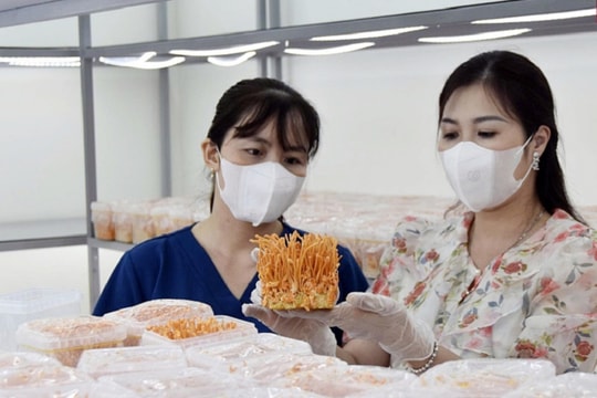 Quảng Ninh đồng hành ba chiều - bệ phóng cho khởi nghiệp sáng tạo