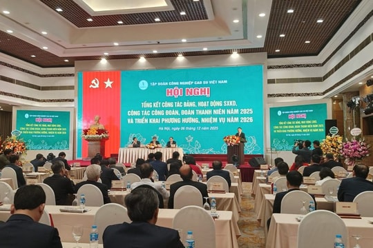 Vượt “bão” thời tiết và thị trường, VRG đạt tăng trưởng ấn tượng năm 2025