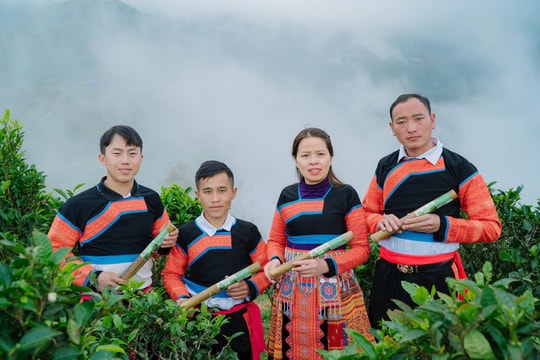 Khởi nghiệp Quốc gia năm 2025: Dự án Trà lam Tà Xùa lọt Top 20 dự án xuất sắc