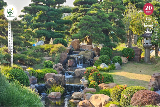 Trung Thành: Hai thập kỷ nâng tầm logistics và nghệ thuật cây cảnh Nhật Bản