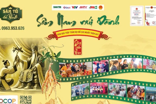 Khởi nghiệp Quốc gia 2025: Dự án Sâm Tổ Núi Dành lọt Top 20 dự án xuất sắc